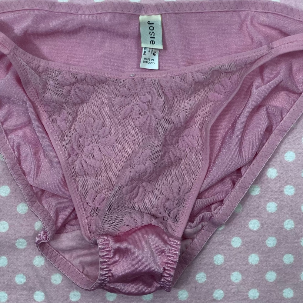 Natori Pink Floral Lace Panties